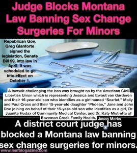 Judge Blocks Montana Law Banning Sex Change Surgeries For Minors – Leaf ...